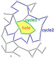 Holes and cycles.png