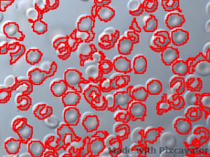 human red blood cells, each captured