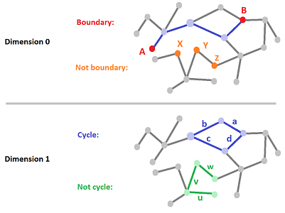 Boundaries and cycles.png