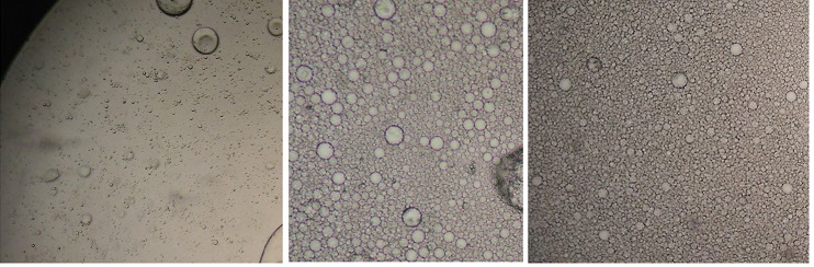 Microphotographs of three emulsions with different neutralization degrees.jpg
