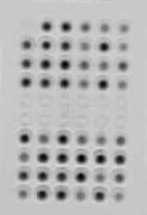 The image produced by the DNA detector. Not aligned with the rows, no matter.