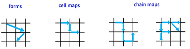 Dynamics of forms, cell maps, chain maps.png
