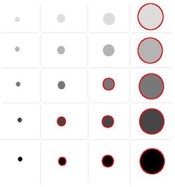 Table of circles 0 0 52861.jpg