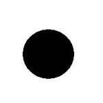 Black circle.JPG