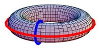 The tire (torus) has two tunnels represented by these two "cycles".