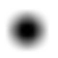 Black circle blurred.JPG