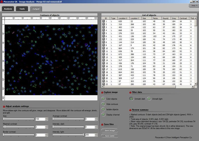 Stained DNA screenshot - blue not red.jpg