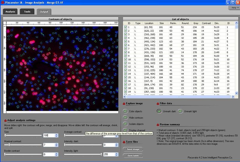 Stained DNA screenshot - blue.jpg