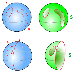 Homology on sphere.png