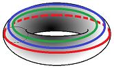Torus with loops.png
