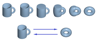 Mug and donut homotopy equivalence.png