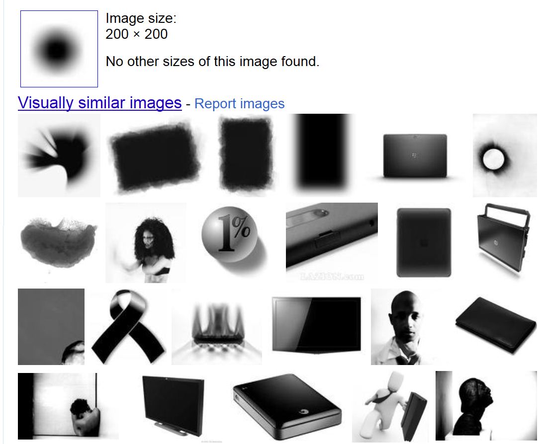 Google image search.jpg