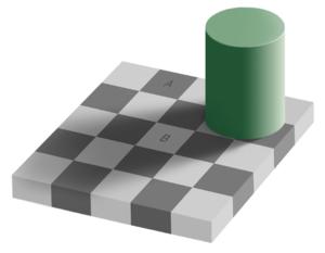 Grey square optical illusion.jpg