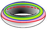 Torus with loops and homology.png