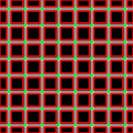 Grid illusion svg 0 0.png