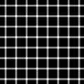 Grid illusion svg.png